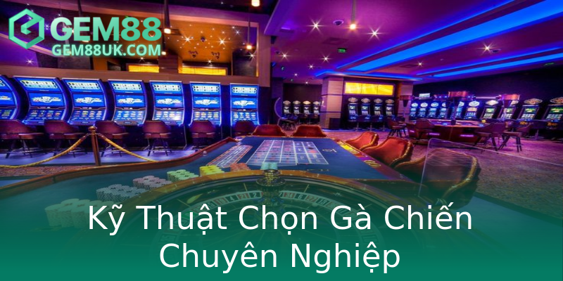 Kỹ Thuật Chọn Gà Chiến Chuyên Nghiệp